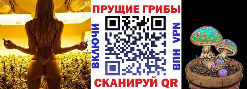 Галлюциногенные грибы мицелий  hydra как зайти  Жигулёвск 